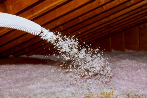Best Soundproof Insulation Installation  in Mount Prospect, IL