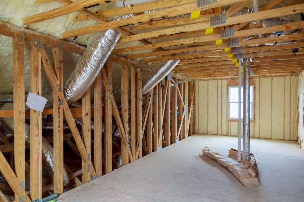 Best Insulation Contractors for Homes  in Mount Prospect, IL