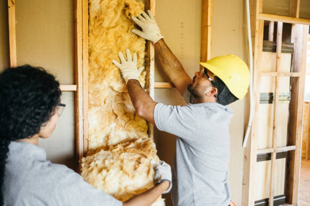 Best Insulation Contractors for Homes  in Mount Prospect, IL
